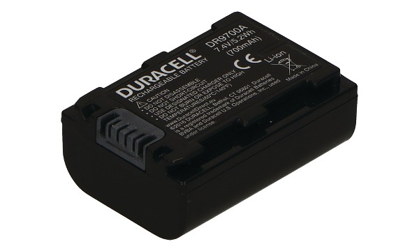 DCR-SR62 Batteria (2 Celle)