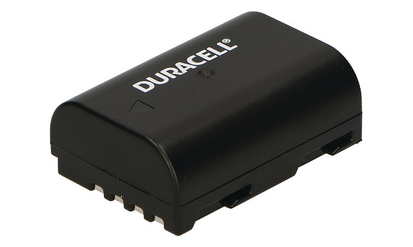 Lumix DC-G9 Batteria (2 Celle)